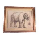 Framed drawing of elephant by René Hérisson