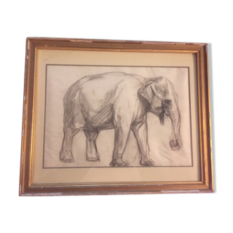 Framed drawing of elephant by René Hérisson