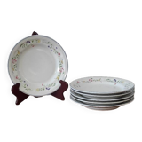 Lot assiettes à Dessert Englisch Garden