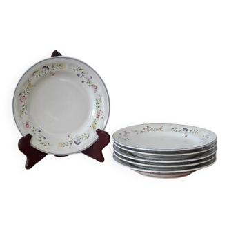 Lot assiettes à Dessert Englisch Garden