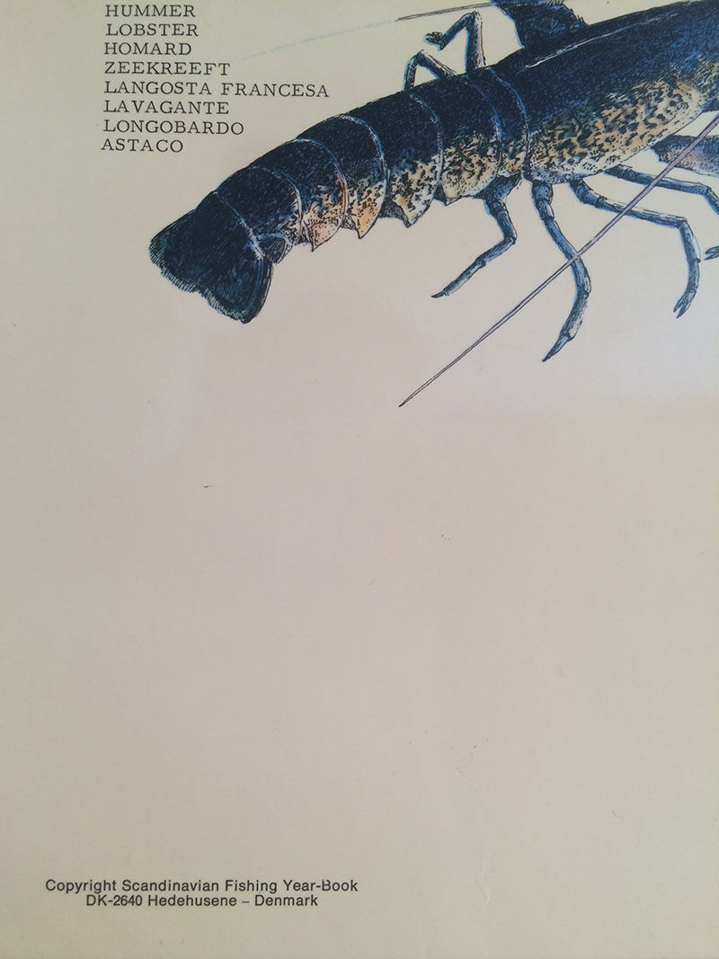 Original vintage marine wildlife poster, 80s