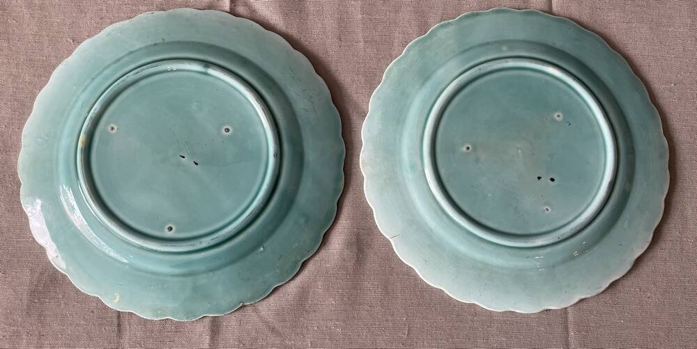 Duo of plates in barbotine decorated with two birds on a fruit tree