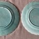 Duo of plates in barbotine decorated with two birds on a fruit tree