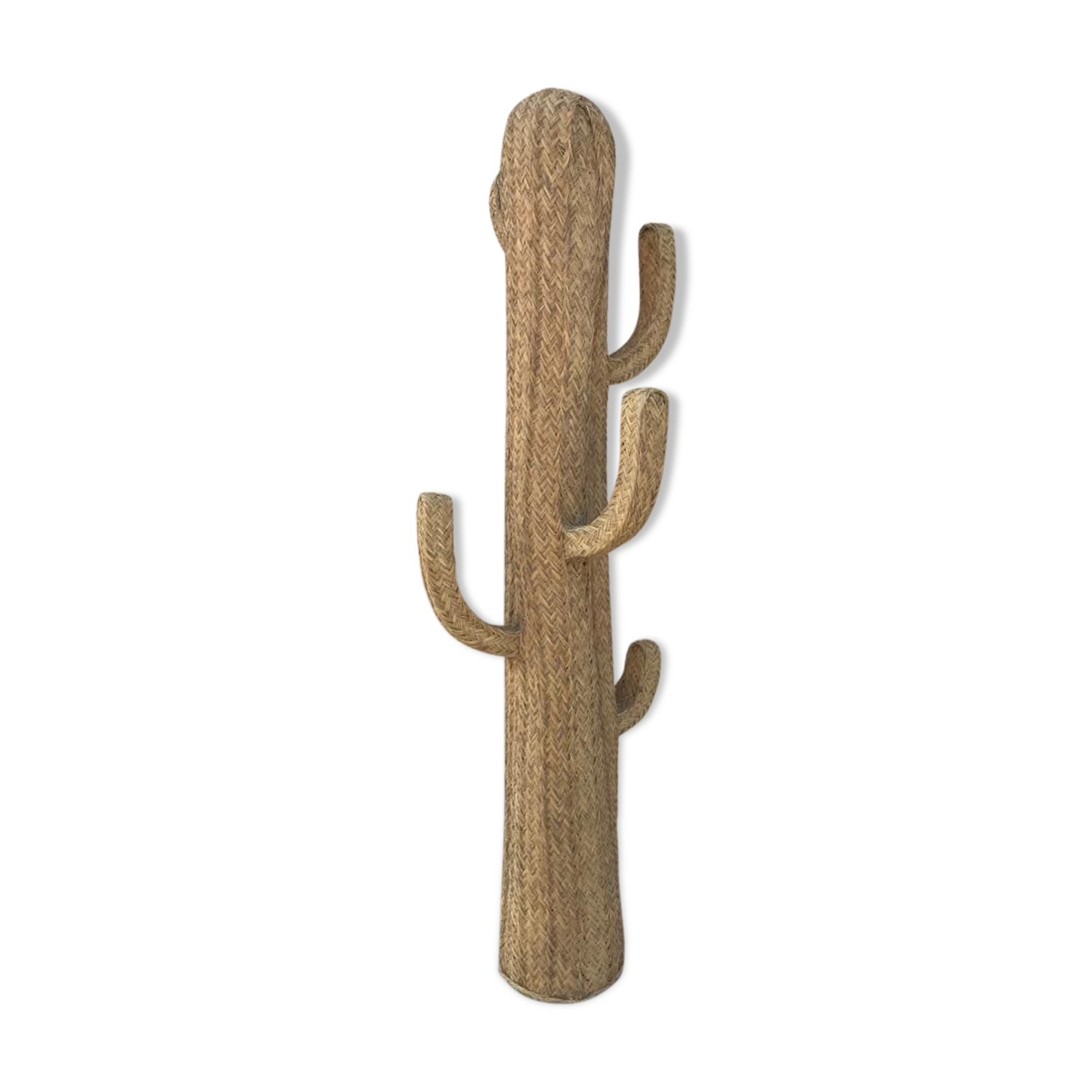 Straw cactus