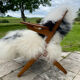Fauteuil par Arne Hovmand-Olsen