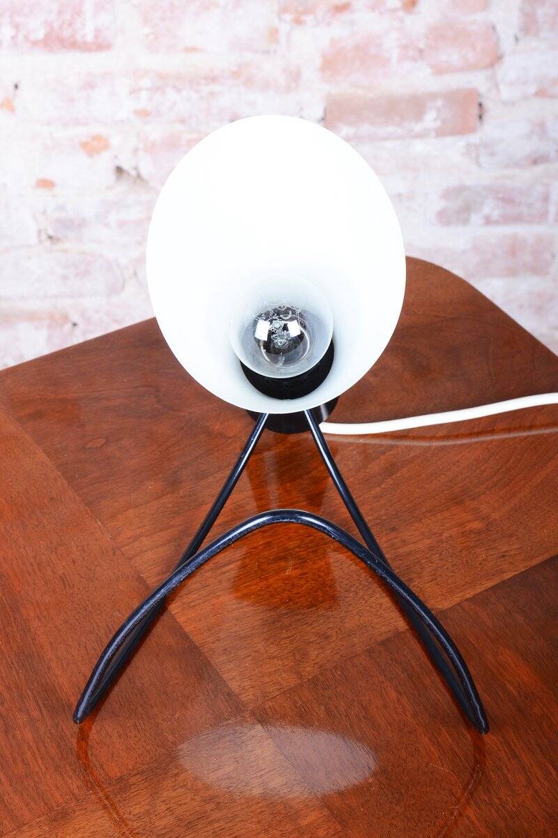 Mid-Century Czech Table Lamps attributed to J. Hůrka for Napako, 1950s, Set of 2