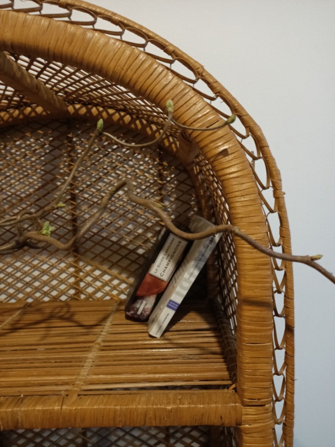 Round rattan shelf