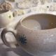 Sugar bowl and earthenware milk pot The stars - French potteries
