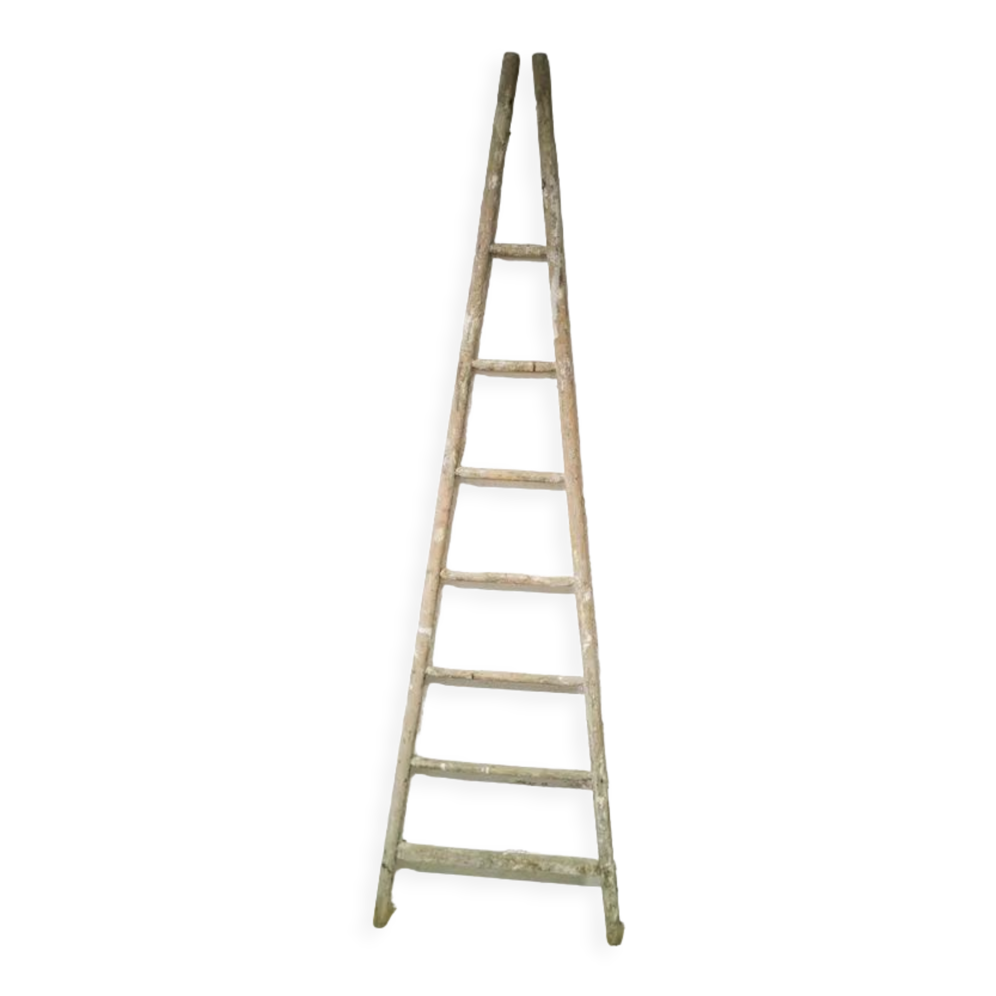 Old wooden ladder