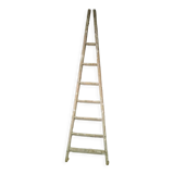 Old wooden ladder