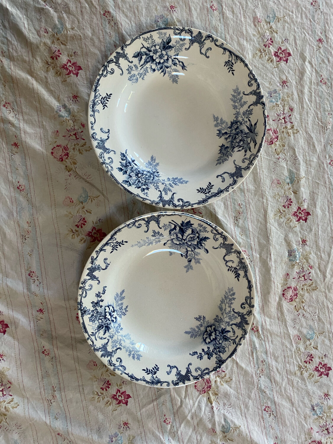 Set of 2 ironstone soup plates by Hippolyte Boulenger