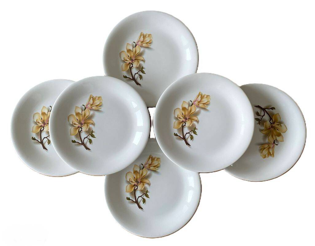 6 antique flat plates in Saint-Amand earthenware (Nord)