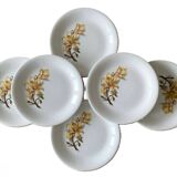 6 antique flat plates in Saint-Amand earthenware (Nord)