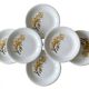 6 antique flat plates in Saint-Amand earthenware (Nord)