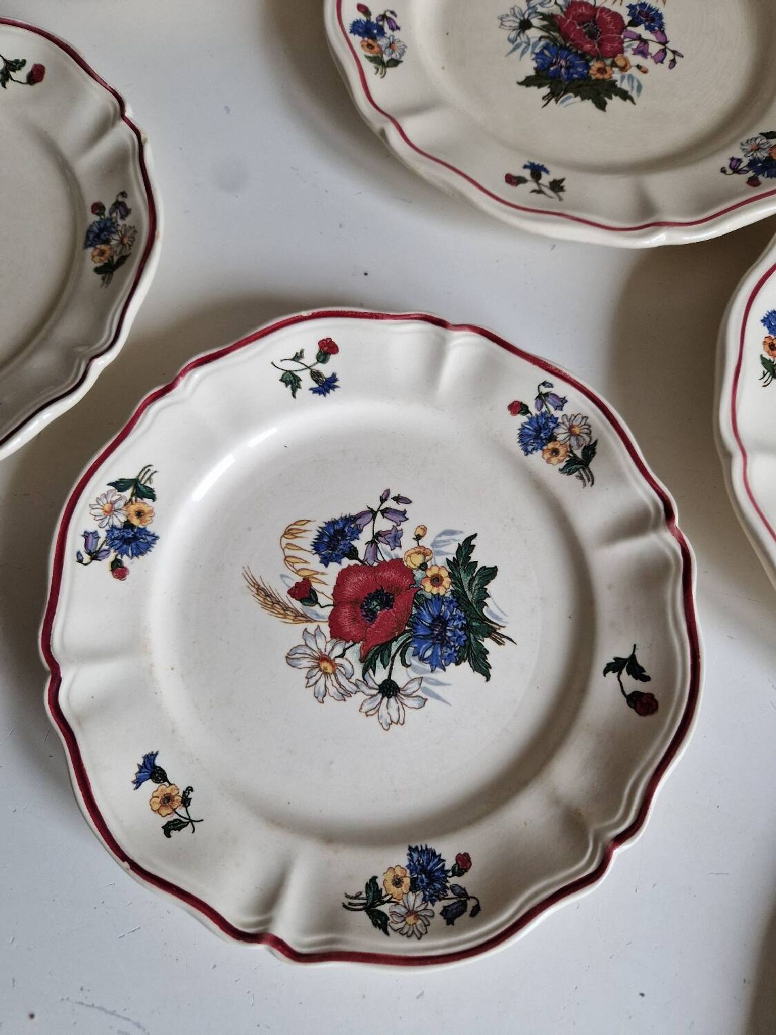 Set of 12 Sarreguemines Plates, Agreste Models