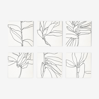 Ensemble de 6 impressions de giclée carrée. Série botanique. 10:30