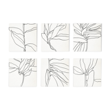 Set of 6 square giclee prints. Botanical series. 30x30