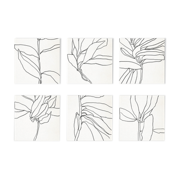 Ensemble de 6 impressions de giclée carrée. Série botanique. 10:30