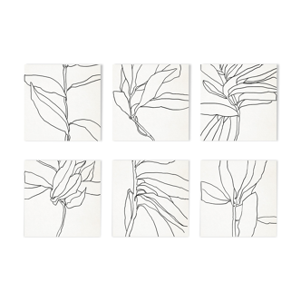 Set of 6 square giclee prints. Botanical series. 30x30