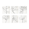 Ensemble de 6 impressions de giclée carrée. Série botanique. 10:30