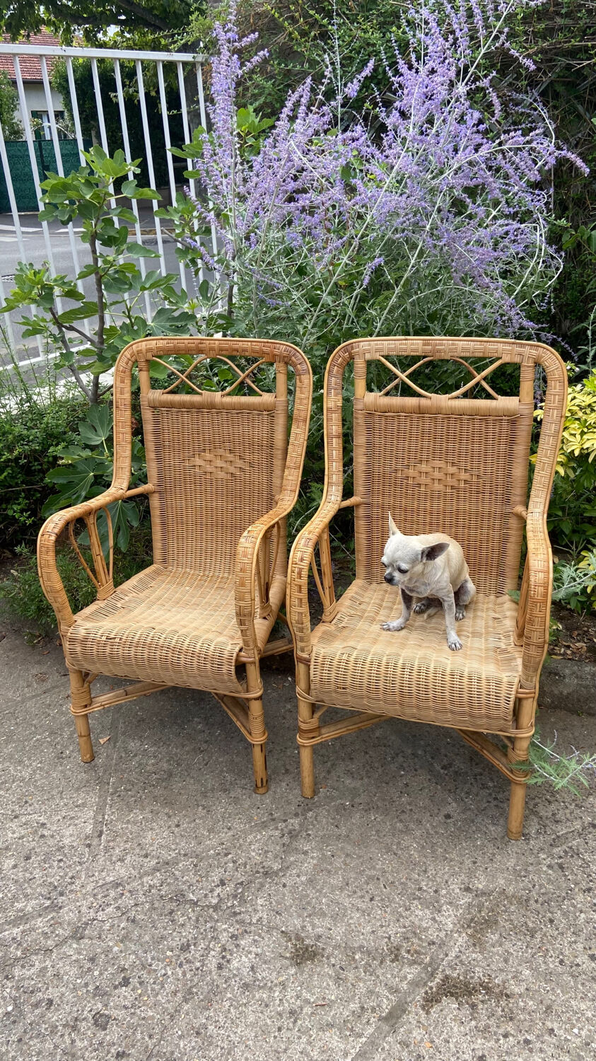 Adult vintage rattan armchair