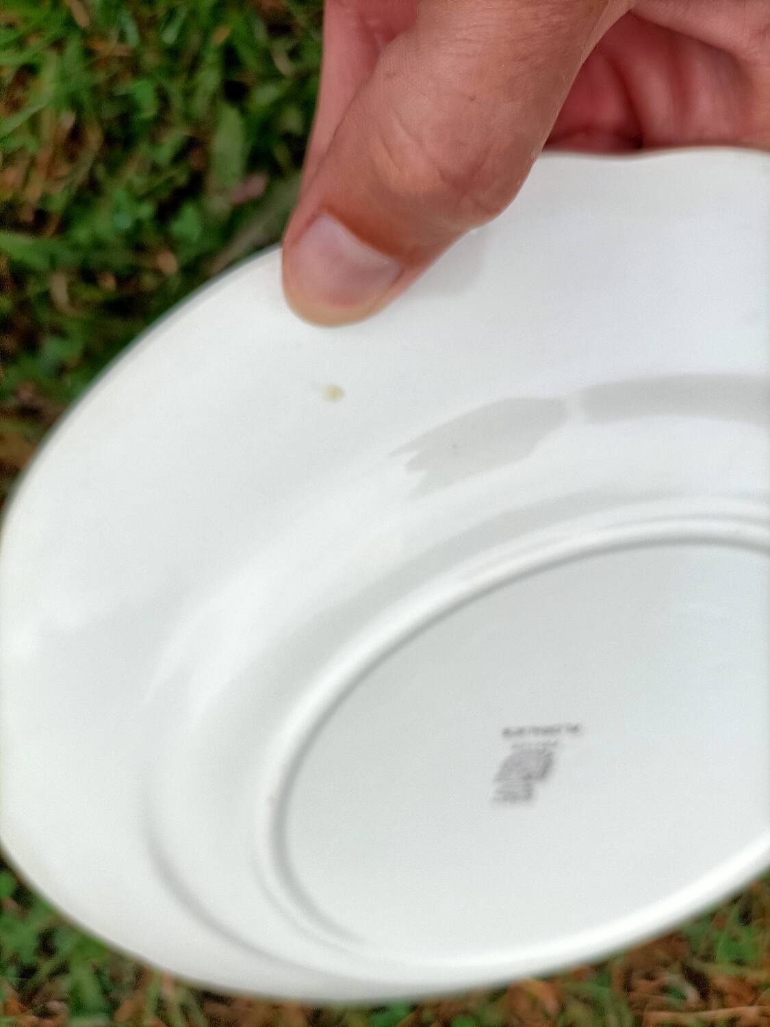 Digoin Sarreguemines dinner plate