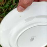 Digoin Sarreguemines dinner plate