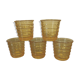 Verres à snaps