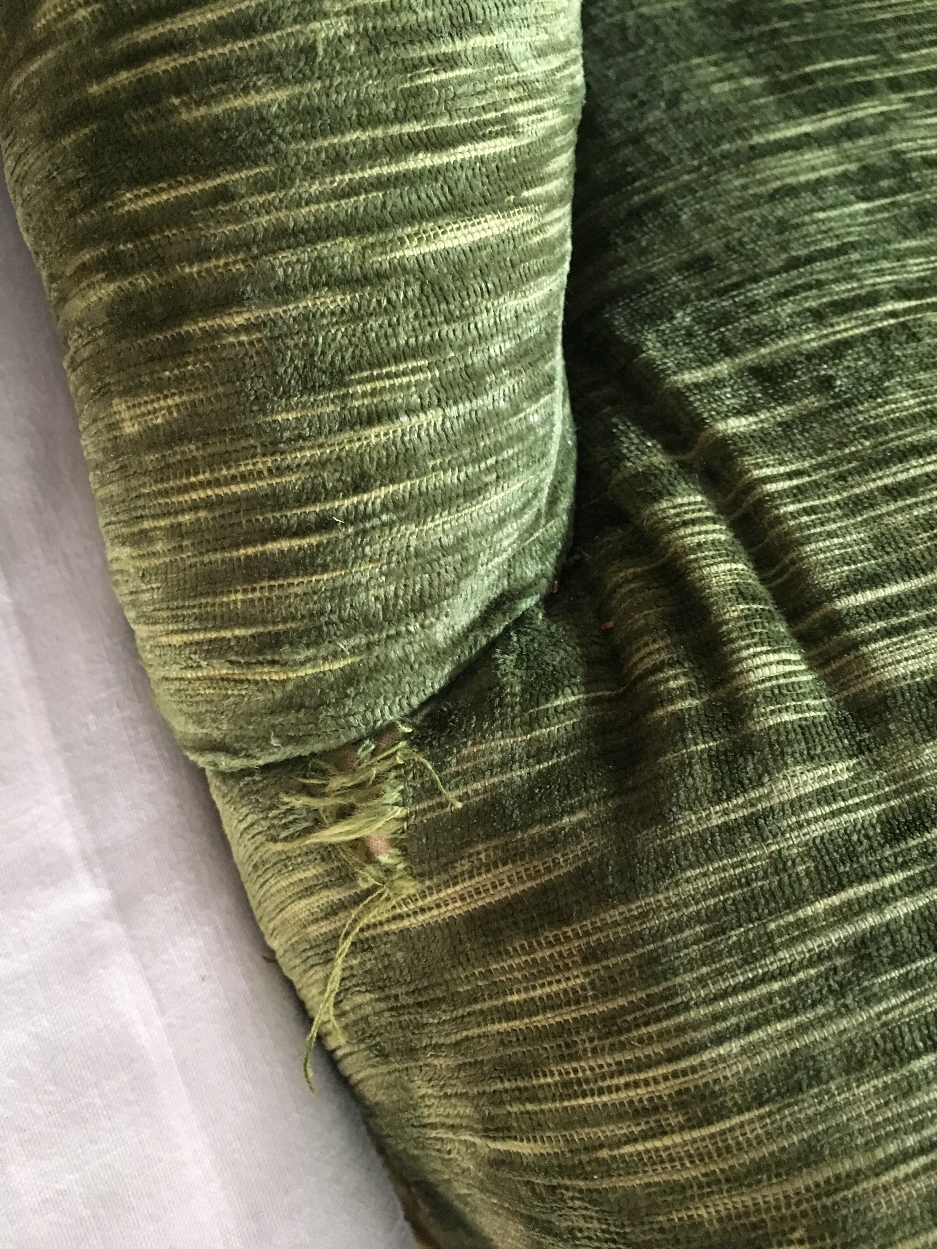 Olive green velvet toad armchair