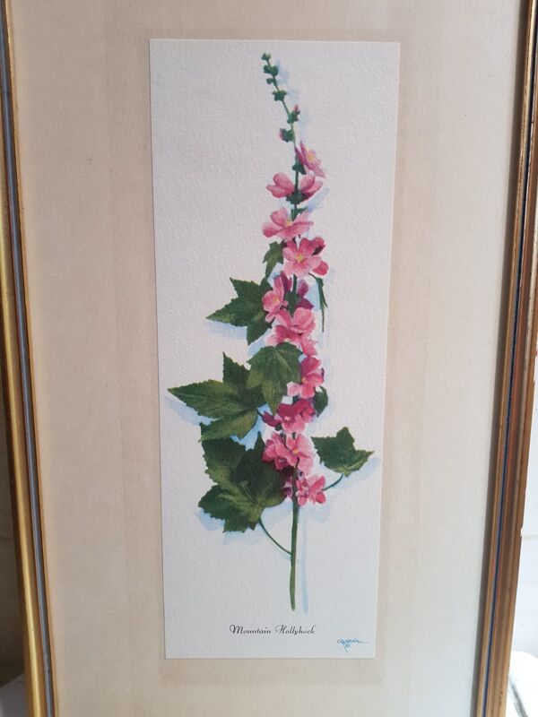 Série 4 Anciennes Planches Botaniques Fleurs GRANDALL + Cadre Bois Doré Vintage