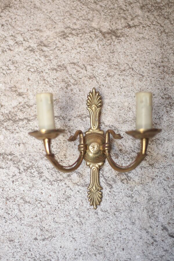 Paire d'appliques bronze empire style,applique bronze palmette col de cygne