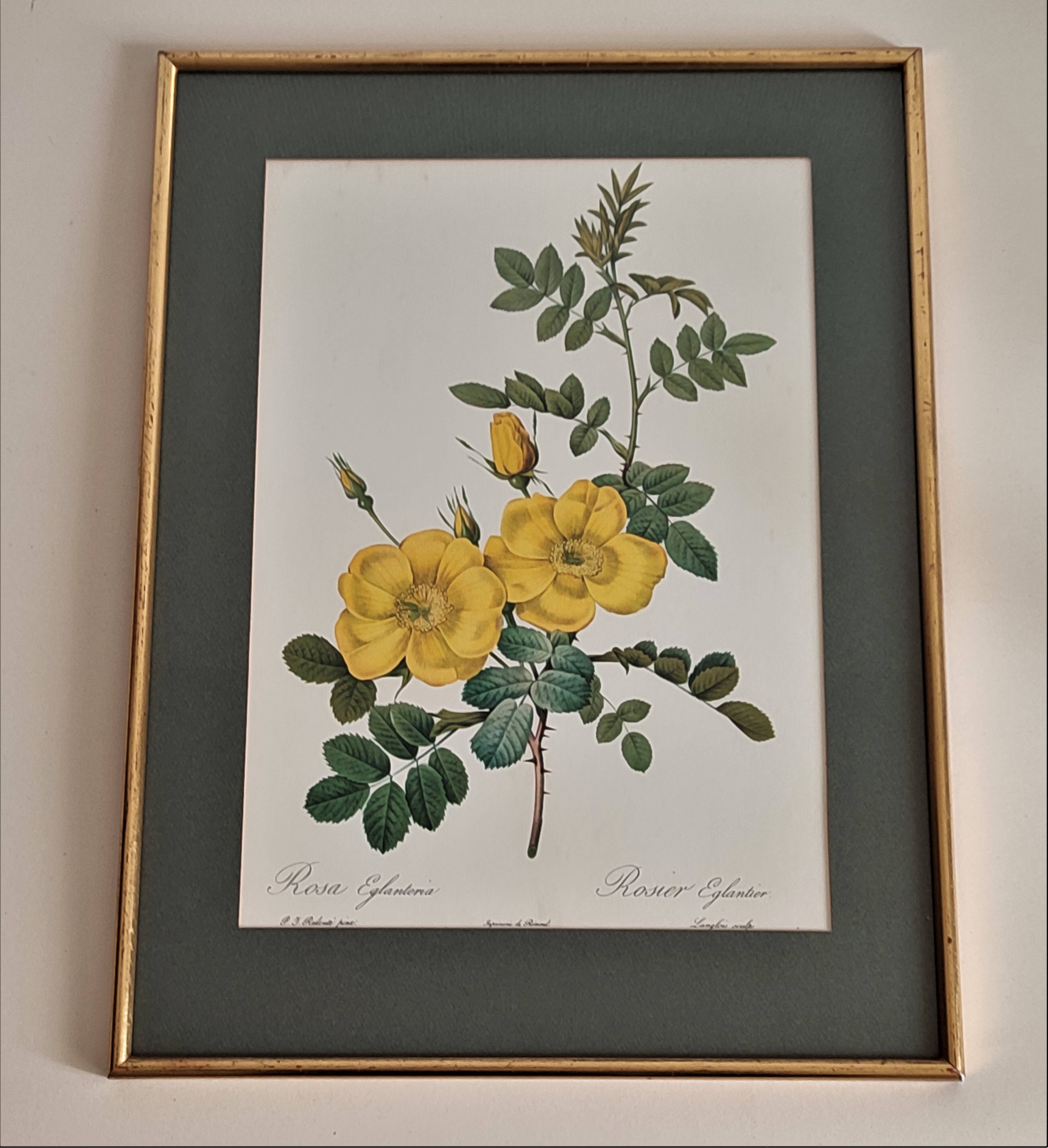 Dreaded Botanical Board