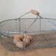 Metal wire basket