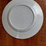 Assiette Terre de fer