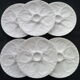 Set of 6 oyster plates in Pillivuyt porcelain