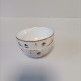 earthenware bowl two