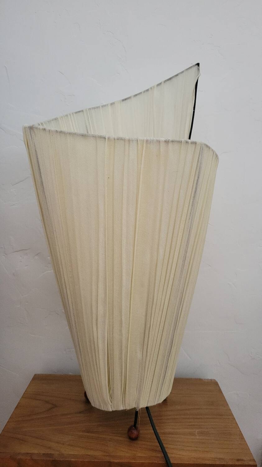 Tripod year 50