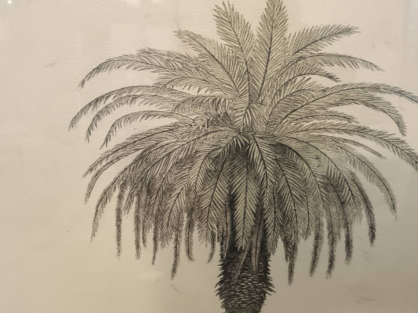 Aquarelle originale Jacob Edwards cadre vitré