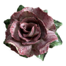 Flower, rose in old slip