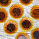 9 small plates sunflower oil lesieur Duralex