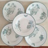 5 Saint Amand Cartels plates