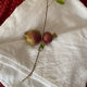 Old white cotton tablecloth.