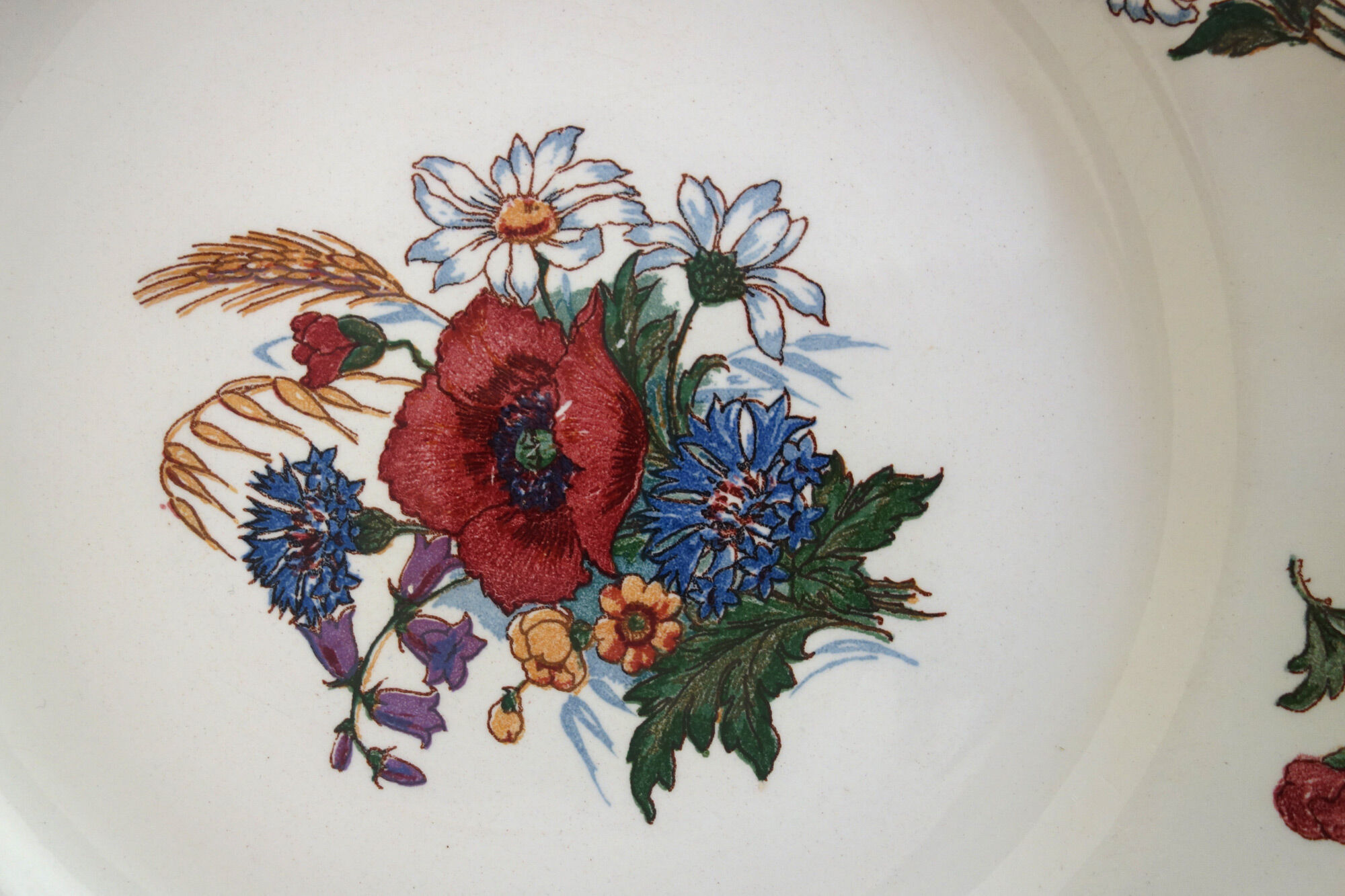 Set of 6 flat plates in earthenware Sarreguemines Model "Agreste" vintage