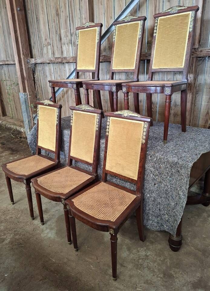 Set of 6 Empire dining chairs – Mahogany, gilded bronze (ombp)