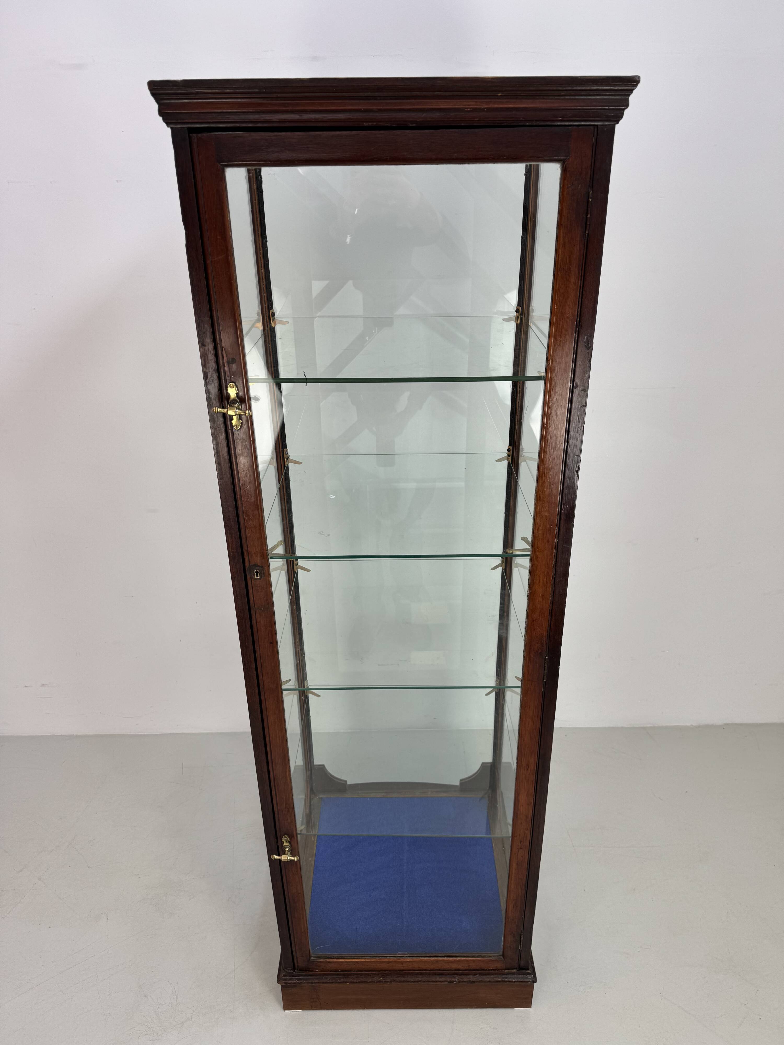 Beautiful mahogany museum display cabinet from England, circa 1925.