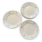 Old faience plates with flowers