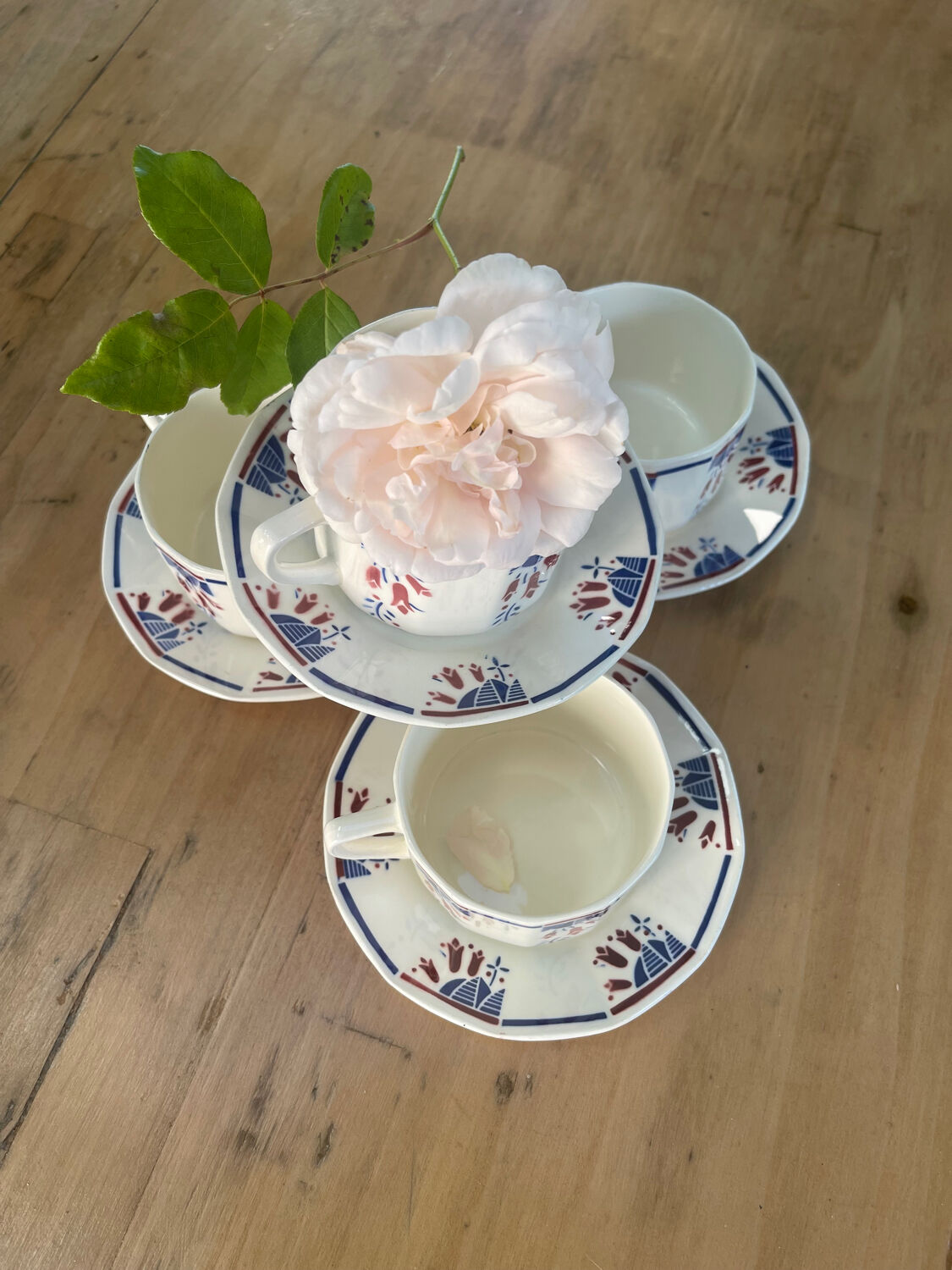 Tasses et soucoupes art déco Badonviller motif « tulipes «