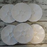 6 oyster plates 30123 porcelain white cnp france