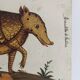 Pair of reproductions of the Codex Pomar of Natural History, Valencia, 1990