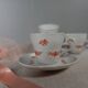 6 flowery white Bavarian porcelain cups & saucers, Seltmann Weiden 1950